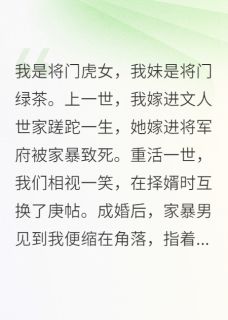 爆款小说换了庚帖后，我成了大夏第一女将主角魏昭赵清远魏老登全文在线完本阅读-暗夜阅读网