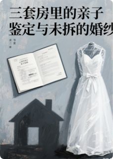 三套房里的亲子鉴定与未拆的婚纱小说_三套房里的亲子鉴定与未拆的婚纱小说结局阅读
