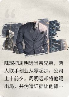 爆款小说从弃子到猎手在线阅读-周明远陆琛免费阅读