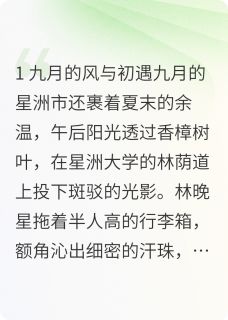 【热文】夏夜晚风与未读消息主角林晚星江逾白小说全集免费阅读