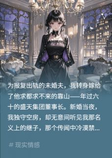 [抖音]小说季北辰季鸿远陆哲嫁给我那六旬继子他爹后，他疯了-暗夜阅读网