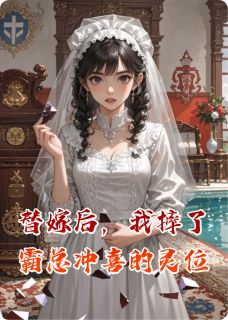 独家替嫁后，我摔了霸总冲喜的灵位小说-主角陆兆川苏晓陆振霆全文免费阅读