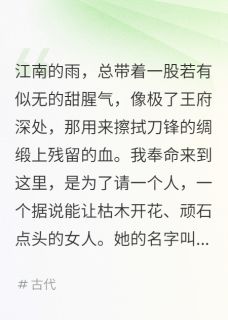 巧手破局：王爷的追杀令无弹窗在线阅读
