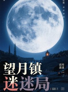 佚名写的小说望月镇迷局在线阅读