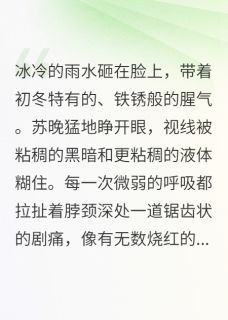 我看见凶手在发光(苏晚赵红梅)全文完整版阅读-暗夜阅读网