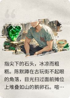 赌石？赌命！陈默林涛-云舒听风小说