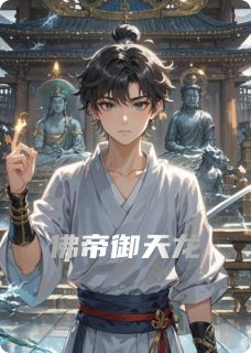 佛帝御天龙小说主角是吐蕃萧峰全文完整版阅读-暗夜阅读网