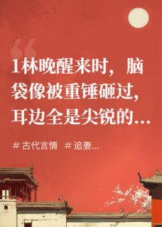 淡宁羽仙写的小说穿越后，竟遇前夫哥也穿成了王爷林晚顾宴琛沈婉柔全文阅读
