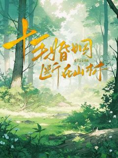 抖音爆款小说十年婚姻，断在山林林景昊杨雨薇陆卓霆免费txt全文阅读-暗夜阅读网