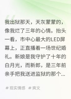 替白月光顶罪，出狱当天她嫁仇人小说苏晚晴秦浩南陈默免费阅读-暗夜阅读网