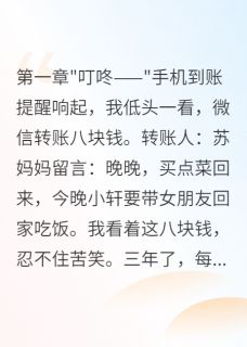 (独家)婆婆给小叔子转八百万给我八块钱苏浩陆霆川晚晚小说-暗夜阅读网