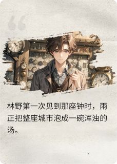 云隙之钟林野陈念小说完整在线阅读