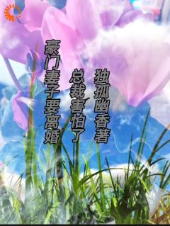 精彩小说冷熙棠陆霆宇豪门妻子要离婚，总裁害怕了全文目录畅读
