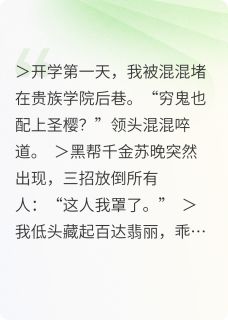 无广告小说霸总装穷被真黑帮千金收为小弟-苏晚厉砚舟王硕在线阅读-暗夜阅读网