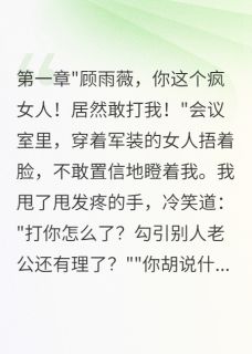 沈景琛雨薇林晓雪小说军嫂发现丈夫出轨后我疯了完整章节-暗夜阅读网