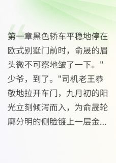 俞晟夏小满是什么小说免费版阅读抖音热文-暗夜阅读网