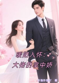 暖阳入怀：大佬的掌中娇苏念沈聿白全章节完结版在线阅读
