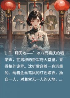 精选好书冲喜后,我成了少帅的掌心娇无删减版全文在线-暗夜阅读网