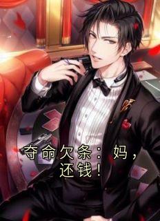 值得熬夜看完的夺命欠条：妈，还钱！小说阅读
