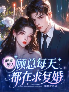 前妻撩人，顾总每天都在求复婚！(沈榆沈见欢顾行衍)全文完整版阅读-暗夜阅读网