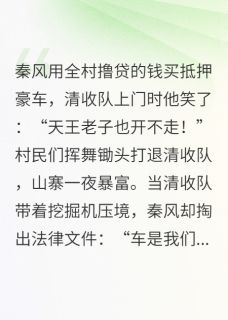 主角秦风秦家寨小说完整版-抵押车？拿来吧你！免费阅读全文