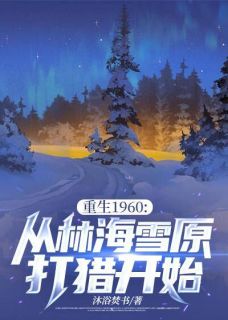 重生1960:从林海雪原打猎开始小说最新章节-主角赵为民林倩全文免费阅读-暗夜阅读网