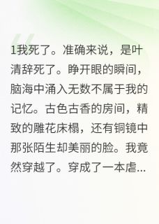 重生豪门后我专治各种不服（沈墨轩苏婉儿叶清辞）精彩小说目录阅读-暗夜阅读网