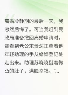 前夫为挽回我让小三打掉五月孩子最新章节 宋景深陆慕白苏晓晓全文阅读-暗夜阅读网