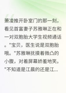 妻子怀双胞胎竟是大学生的（萧凌苏雅琳叶清歌）精彩小说目录阅读-暗夜阅读网
