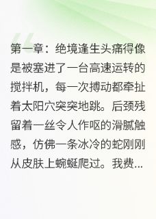 厉沉舟厉明轩小说大结局在哪看-我靠碰瓷小叔苟命完整版免费阅读