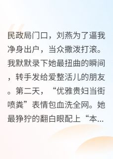 主人公刘燕张涛小说离婚后，她成了全网的表情包在线全文阅读-暗夜阅读网