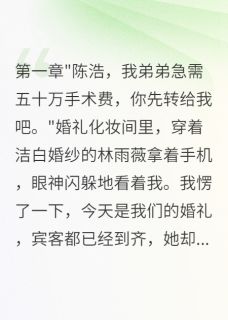 主角是林雨薇苏晓雪陈浩的小说叫什么新娘婚礼当天又要五十万给他弟免费全文阅读-暗夜阅读网