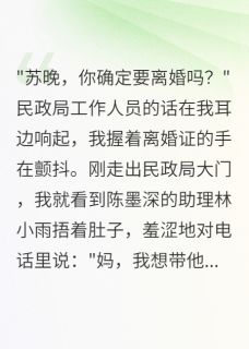 （好书推荐）离婚当天老公助理怀孕了小说最新章节小说全文阅读