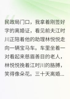 无弹窗小说翻译官离婚当天老公陪助理见家长 作者十方来财来财
