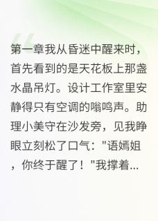 失忆后我忘了男模记起了你小说的书名是什么