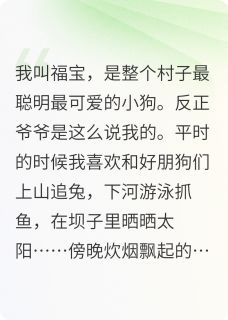 (抖音小说)福宝小黄小小小说全文阅读免费