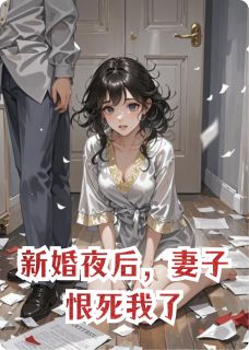 新婚夜后，妻子恨死我了在线阅读 许颜宋轶免费小说精彩章节