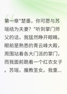 苏瑶林风楚墨小说结局