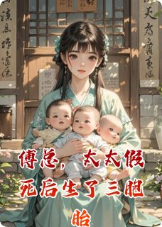 傅总，太太假死后生了三胞胎林念傅司寒傅言傅总，太太假死后生了三胞胎全文免费阅读【完整章节】