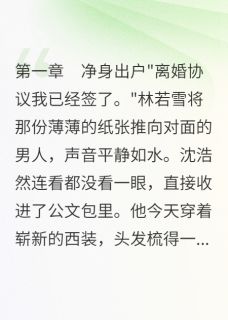 好看的离婚后我嫁给了前夫他爸小说，主角林若雪沈志华最新章节阅读-暗夜阅读网