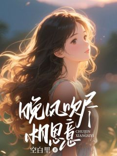 空白里写的小说晚风吹尽相思意在线阅读