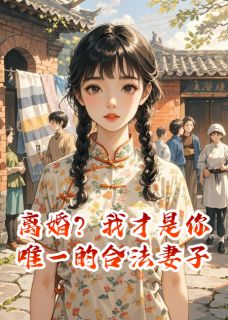 爆款小说由作者慕容书生所创作的离婚？我才是你唯一的合法妻子在线阅读-暗夜阅读网
