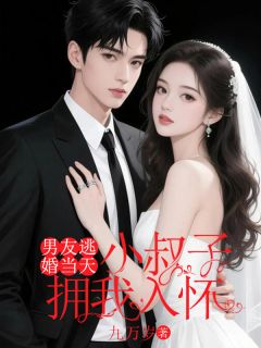 抖音叶景然林野唐曼小说叫什么名字-暗夜阅读网