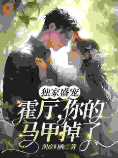 霍晏山翁青黎独家盛宠：霍厅，你的马甲掉了全章节免费阅读
