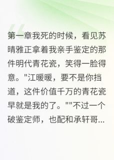 拍卖会上的惊天骗局暖暖苏晴雅萧承轩小说全文-拍卖会上的惊天骗局小说