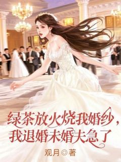 全网首发完整小说绿茶放火烧我婚纱，我退婚未婚夫急了主角顾言季川乐怡在线阅读