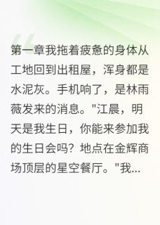 搬砖男友原来是首富之子小说免费阅读 林雨霜江晨江总大结局完整版