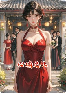 心墙之上（苏晚顾霆渊）精彩小说目录阅读