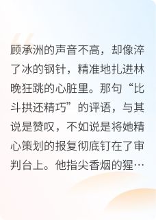 深夜对峙：废墟上的心跳小说在线阅读，主角林晚顾承洲精彩段落最新篇