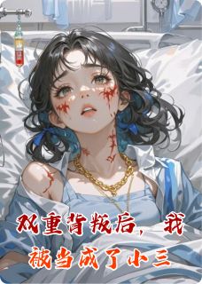 双重背叛后，我被当成了小三(全章节)-陈静林策赵萌在线阅读